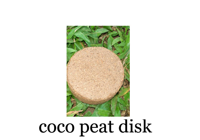 coco-peat-disk